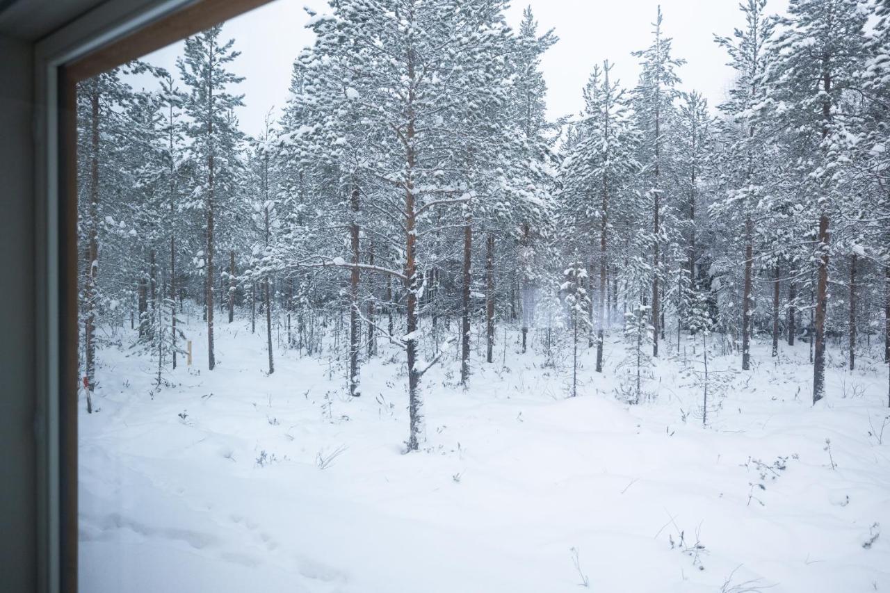 Premium Lapland Villa With Jaguzzi Rovaniemi Extérieur photo